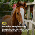 Majesty's Flex XT Wafers - Superior Horse / Equine Joint Support With Increased Supplement Levels - Glucosamine, MSM, Yu