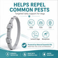 Craveit Flea and Tick Collar for Dogs, 4 Pack, Small Dogs Under 18 lbs