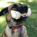 Pet Factory American Beefhide 12" Knotted Bone Dog Chew Treat - Natural Flavor, 1 Count/1 Pack