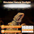 UVB Light for Reptiles Bearded Dragon, 2 Pack T5 UVB Reptile Light UVB Bulb 10.0 24W UVA UVB Reptile Light Bulb Terrariu