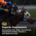 Majesty's Flex HA Wafers - Superior Performance Horse/Equine Joint Support Supplement - HA, Vitamin C, Yucca, Glucosamin
