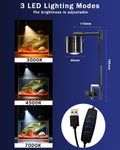 Fish Tank, 3 Gallon Ultra-Clear Glass Fish Aquarium, with Separator Plate for Betta, Fish Tank Starter kit with Filter a
