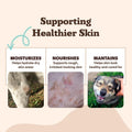 Natural Dog Company Skin Soother Balm for Skin Irritation, Allergy and Itch Relief for Dogs, Hot Spot Treatment, Dog Moisturizer for Dry Skin, Healing Ointment with Coconut Oil & Vitamin E, 2 oz Stick