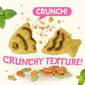 Puddonio Catnip Cat Treats, Chicken & Salmon Flavor Crunchy Cat Biscuits, Fish-Shaped Training Snacks for Adult Cats, 16 oz