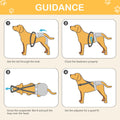 Avont 3 Pack Washable Female Dog Diaper with Suspender