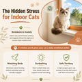 Cat Perch for Window XiaZ Cats Hammock Indoor for Small Medium Sized Cat Window Bed Adjustable Wooden Frame W/Soft Cushi