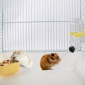 Hamster Travel Portable Carrier Cage Small Animal Carry Case
