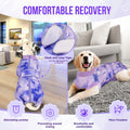 Lukovee Recovery Suit for Dogs, Spay Neuter Surgery Suit, Female Male, S