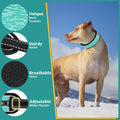 Mayerzon No Pull Collar for Large Medium Dogs Walking that Pull, Cyan, L
