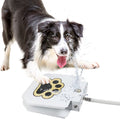 KEFIY Dog Water Fountain Step On, Outdoor Dog Water Sprinkler for Large Dogs, with Upgrade Copper Valve Set, Easy to Use, Fresh Water to Drink