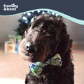Huxley & Kent Pet Bow Tie for Dogs & Cats - Adjustable Hook & Loop Collar Accessory - Cute & Comfortable for Holidays & Celebrations - Lime Madras, Large