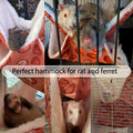 EAEDMY Rat Ferret Hammock Toys Cage Accessories, Guinea Pig Hideout Tunnel, Warm Bed for Rat Ferret Guinea Pig Sleep Hid