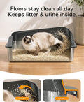 XL Cat Litter Box: High-Sided Anti-Urine Leakage for Big Cats