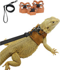 3 Pack Bearded Dragon Harness and Leash Set, Small Animal Traction Rope