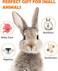 Sofier 12Pcs Timothy Hay Treats Rabbit Toys Bunny Toys Guinea Pig Natural Chews for Teeth Handmade Rabbit Chews and Trea