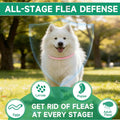 Flea Collar for Dogs, 4 Pack Flea and Tick Prevention for Dogs