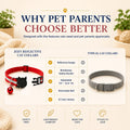12-Pack Reflective Cat Collar Breakaway with Safety Elastic Band - Adjustable 7.5-12.5 Inch Lightweight Collar with Bell