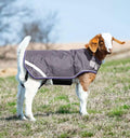Horseware® Goat Rug - Excalibur/Silver & Strong Blue & Black, S