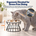 Raised Slow Feeder Cat Bowl - Ceramic Cat Slow Feeders with Stand - White