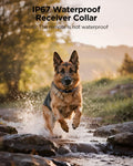 BLACKDOG Military Dog Shock Collar 2 Dogs (5-150lbs) - 4200ft Dog Training Collar with Remote, 4 Training Modes, Flashli