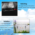 capetsma Fish Breeding Box, Acrylic Fish Isolation Box with Suction Cups, Aquarium Acclimation Hatchery Incubator for Ba