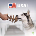 Benebone Fishbone Durable Dog Chew Toy for Aggressive Chewers