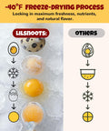 Freeze Dried Quail Egg Yolk Cat Dog Treats 9.2oz