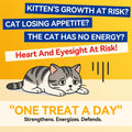 Pure Taurine for Cats Taurine Powder Supplement for Kitty Supports Vitality and Immune Health 200 Grams