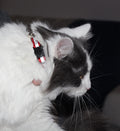 Reflective Cat Collar with Bell, Set of 6, Solid & Safe Collars for Cats, Nylon, Mixed Colors, Pet Collar, Breakaway Cat