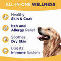 Omega 3 Fish Oil for Dogs - Skin & Coat Support, Itch & Allergy Relief