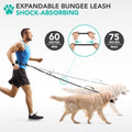 PetAmi Hands Free Dog Leash with Padded Lumbar Waist Belt, Shock Absorbing Bungee, Quick Release Buckle, Dual Handle, Running Jogging Walking Leash for Medium Large Dogs Up to 125 lbs, Grey