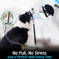 Gentle Leader for Dogs + 2X Free Training Clicker - Essential Gentle Leader
