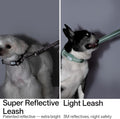 Hands Free Dog Leash Adjustable Versatile Crossbody Waist, Black