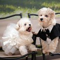 Dog Dress,Pet Wedding Dress Princess Formal Tutu Skirt with Bowknot,Puppy Birthday Party Outfit Apparel Girl for Small D