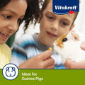 Vitakraft Drops Guinea Pig Treat with Orange Flavor 5.3 oz.