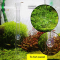 Aquarium Shrimp Feeding Tube and Dish, Clear Crystal Glass Fish Tank Shrimp Feeder Tube Tray