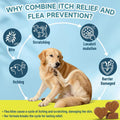 Flea and Tick Prevention for Dogs Itching Skin Relief, 200 Chewable Flea and Tick for Dog with Skin & Coat Support, Itch Relief for Dogs, Oral Supplement for All Breeds & Ages, Chicken Flavor