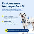 PetSafe 3 in 1 No-Pull Dog Harness - Walk, Train or Travel - Helps Prevent Pets from Pulling on Walks - Seatbelt Loop Do