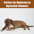 SPOT Bam-Bones Plus T Bone – Bamboo Fiber & Nylon Dog Chew Toy for Moderate to Aggressive Chewers, Durable Long Lasting & Non-Splintering, Beef Flavor Toy for Adult Dogs & Puppies Under 60 lbs, 6 in