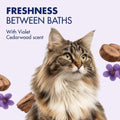 Arm & Hammer Cat Odor Control Spray, Violet Cedarwood, 8 Fl Oz