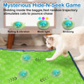 Waaiio Interactive Cat Toys for Indoor Cats,Automatic Moving Cat Ball in Pouch,Chirping Stimulation,Hide-n-Seek Chase Exercise Game,Motion Activate,Rechargeable Kitten Toys