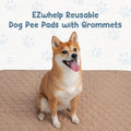 EZwhelp Reusable Dog Pee Pads, Washable Waterproof Mat 60x60 in, 1-Pack