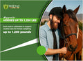 Horse Paste 1.87%, Apple Flavored – 6.08g Oral Gel Syringes (3-Pack) – Adjustable Dosing – for Equine Use Only