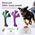 Frienhund 2 Pack Indestructible Dog Chew Toys for Aggressive Chewers - XL Textured Cactus with Grooves for Peanut Butter & Yogurt, Beef Nylon Bones for Large Dogs 20-90 lbs, Easy Chew & Long Lasting