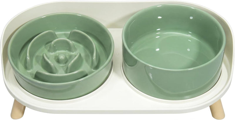 Elevated Slow Feeder Dog Bowls with Splash Proof Stand, Slow Eating 5X