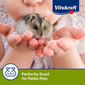 Vitakraft Mini Drops Dwarf Hamster/Rat/Mouse Treat Cherry-Banana 2.5 oz