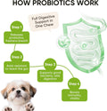 TzzyiC Probiotics for Dogs Gut Digestive Health Probiotic Chews for Dogs Digestive Enzymes Relieve Diarrhea Immunity Oral Problems Itching Constipation Prebiotics Dog Probiotics 200 Ct Chicken