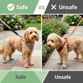 Dog Collar Safety Clip - Double-Ended Backup Safety Strap (Black)