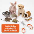 Bearded Dragon Nail Clippers, Stainless Steel Pet Nail Clippers, Reptile Nail Clippers Grooming Tool for Bearded Dragons