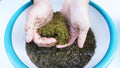 3.5oz Hermit Crabs Substrate, Ideal for Hermit Crab Supplies for Tank Habitat